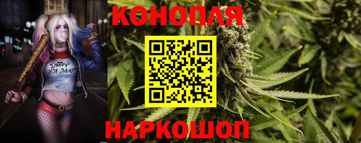Бошки Шишки марихуана Губаха